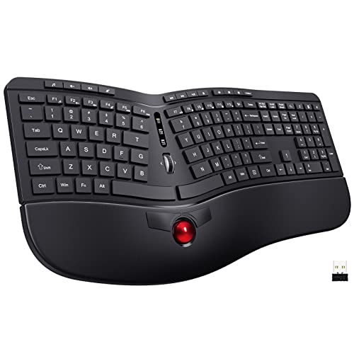 Lizrrot Teclado Ergonomico