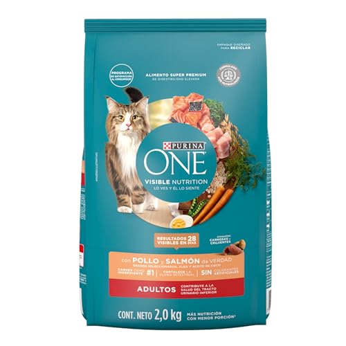 One Dry Gato Comida Para Gato