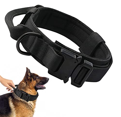 Lawan Collar Para Perros