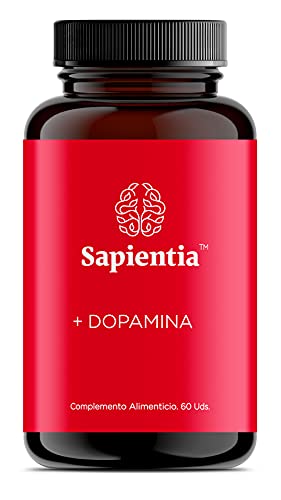 Sapientia Que Es La Serotonina