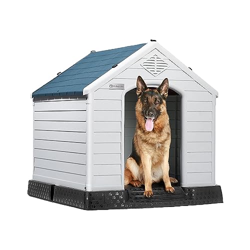 Level Home Casas Para Perro