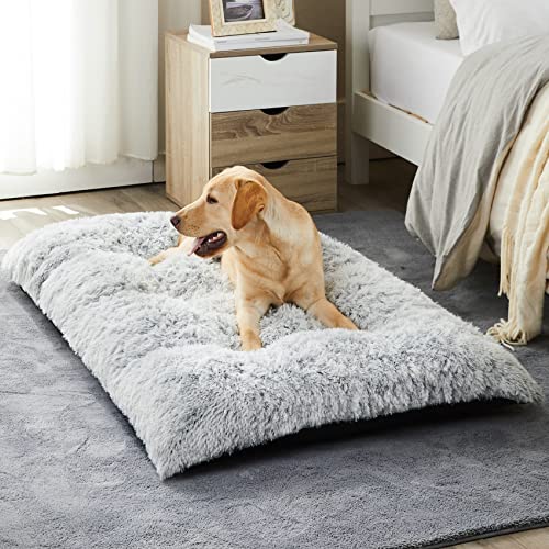 Bfpethome Cama Para Perros